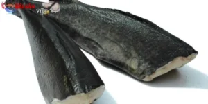 Cá Tuyết Nguyên Liệu Chính Để Chế Biến Những Món Ăn Tuyệt Vời