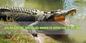 Giải Mã Giấc Mơ Thấy Cá Sấu Mmwin Và Những Con Số May Mắn